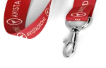 Lanyard AVISTADRONE